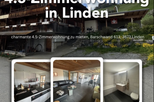 Bildschirmfoto 2025-05-20 um 08.52.41.png